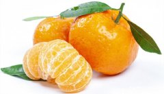 沃柑叶子发黄是什么原因