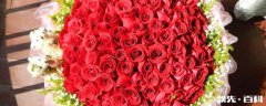 44朵玫瑰花花语是什么